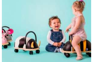 wheely bug  geschenk