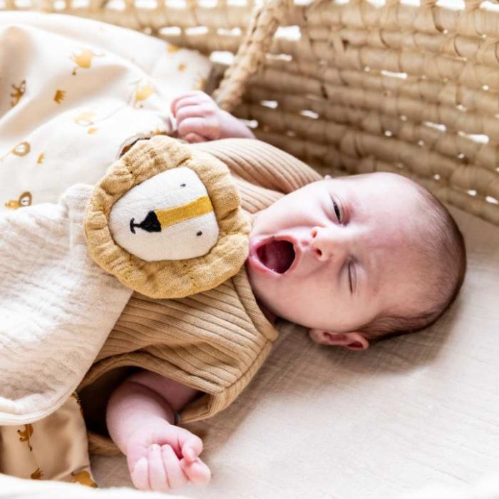 Kuscheltier Löwe und Baby Geburtsgeschenk unisex