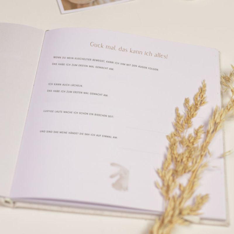 Ein Buch zur Geburt