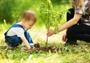 Geburtsbaum entdecken