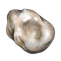 Perle